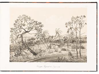 (BRAZIL.) Hermann Burmeister. Reise nach Brasilien durch die Provinzen von Rio de Janeiro und Minas Geraes,